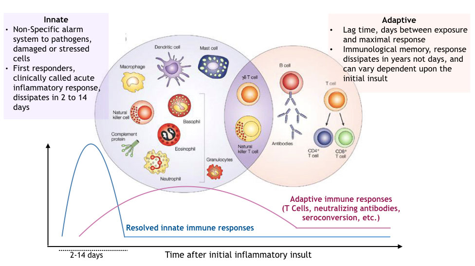 Characterization and immune regulation role of an immobilization