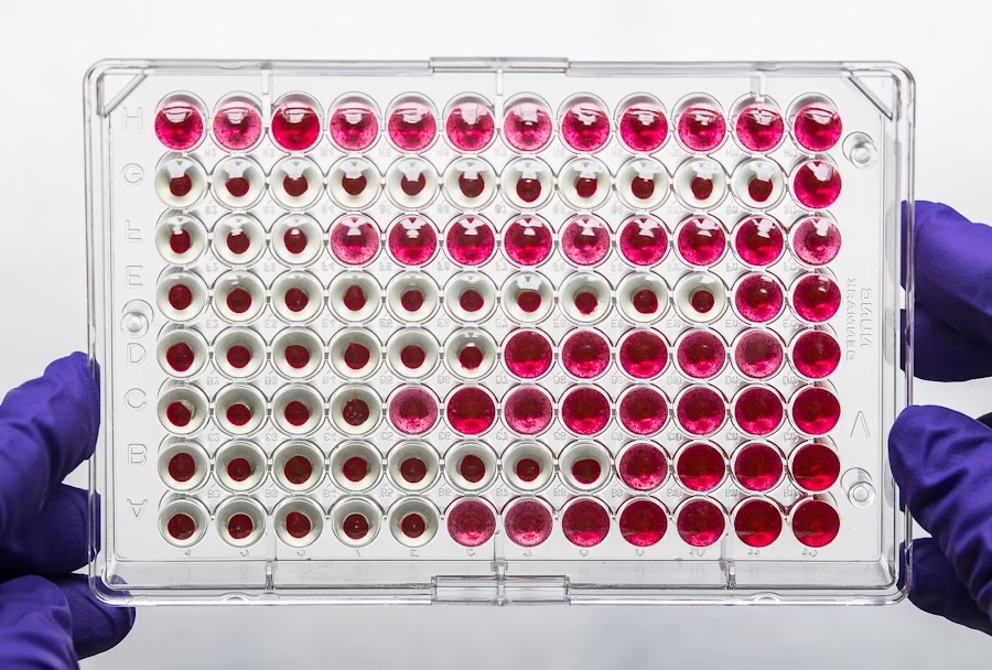 Cell Response Assays
