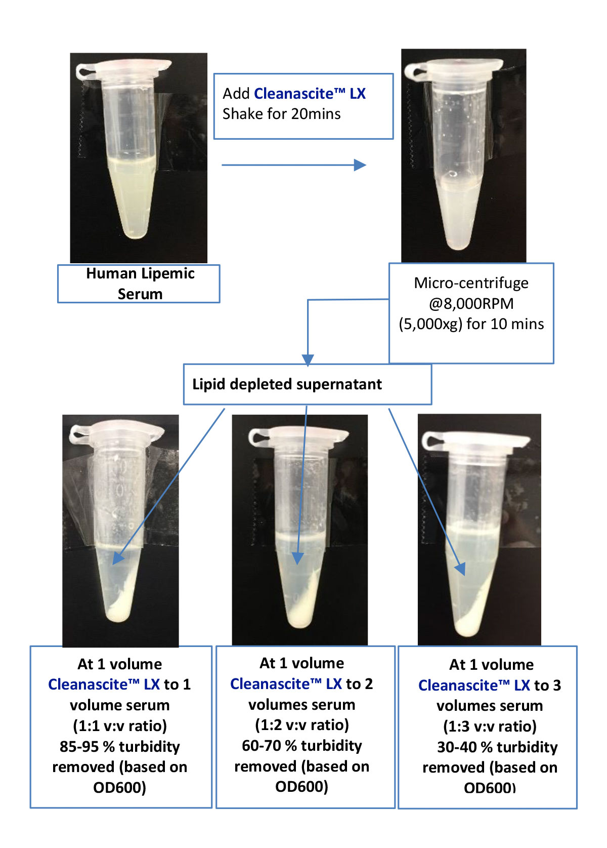 Cleanscite LX Diagram