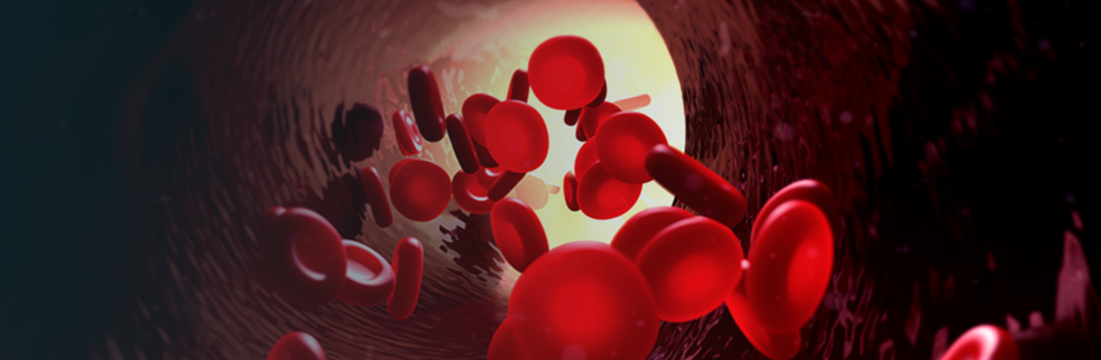 Red blood cells inside blood vessel tunnel