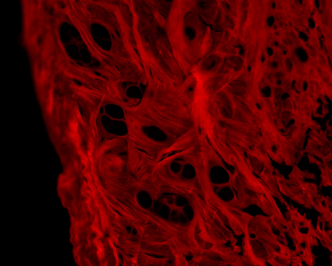 HemogloBind™
