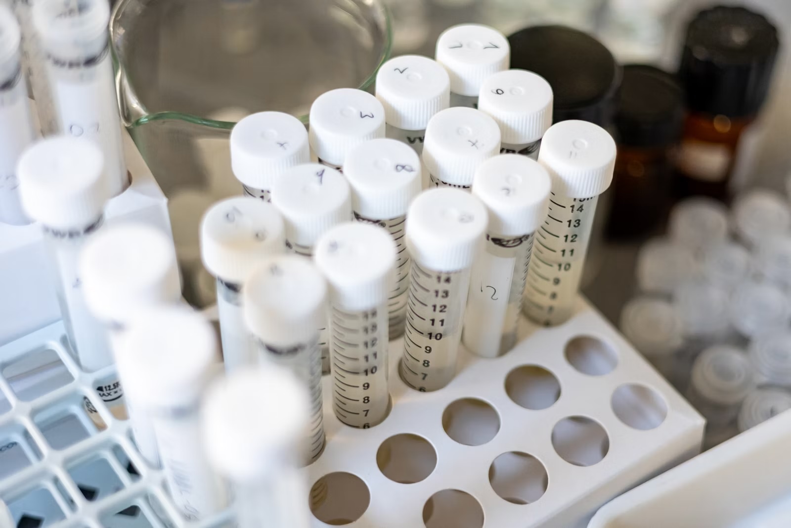 Laboratory samples prepared for lipid removal and clarification