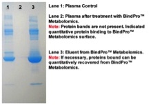 plasma vs serum