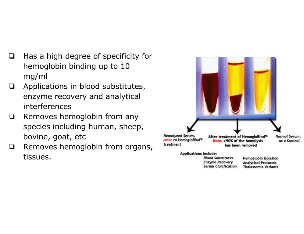 plasma vs serum