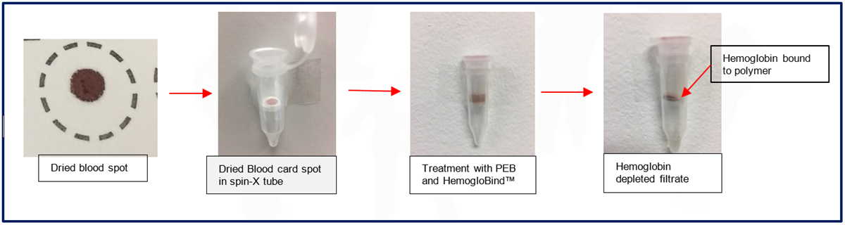 Flow chart of HemogloBind™ Blood Card Application