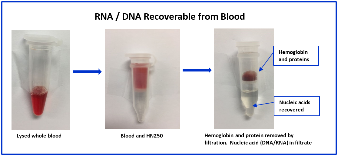 RNA/DNS Recoverable from Blood