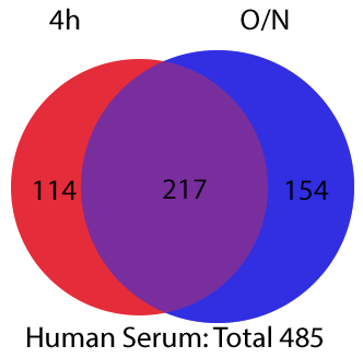 Total LC-MS/MS Proteins identified at 2 digestion times