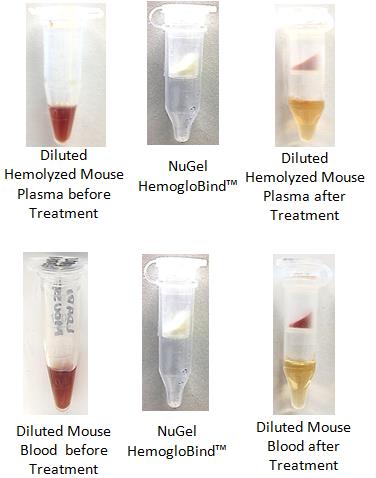 HemogloBind™